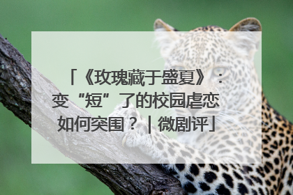 《玫瑰藏于盛夏》：变“短”了的校园虐恋如何突围？｜微剧评