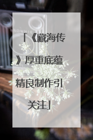 《藏海传》厚重底蕴精良制作引关注