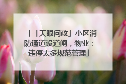 「天眼问政」小区消防通道设道闸，物业：违停太多规范管理
