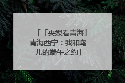 「央媒看青海」青海西宁：我和鸟儿的端午之约