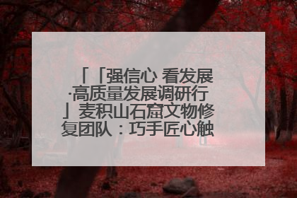 「强信心 看发展·高质量发展调研行」麦积山石窟文物修复团队：巧手匠心触摸“光阴的故事”