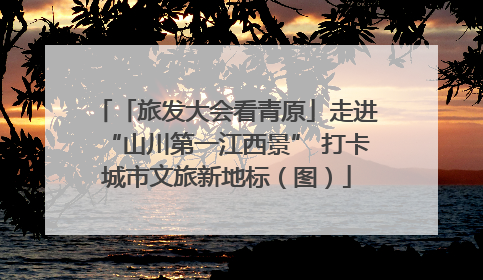 「旅发大会看青原」走进“山川第一江西景” 打卡城市文旅新地标（图）