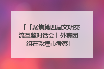 「聚焦第四届文明交流互鉴对话会」外宾团组在敦煌市考察