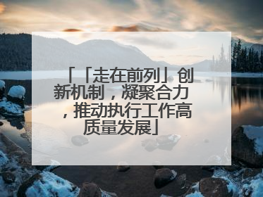「走在前列」创新机制，凝聚合力，推动执行工作高质量发展