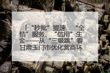 “秒批”提速、“全情”服务、“信用”生金——从“三级跳”看甘肃玉门市优化营商环境的进阶之路