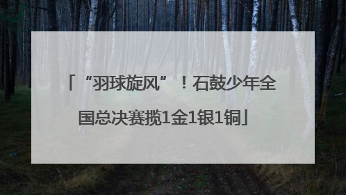 “羽球旋风”！石鼓少年全国总决赛揽1金1银1铜
