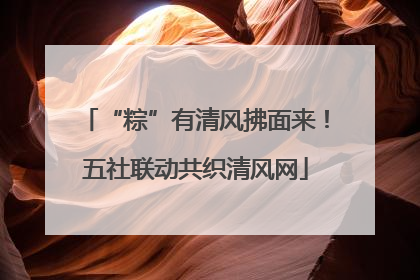 “粽”有清风拂面来！五社联动共织清风网