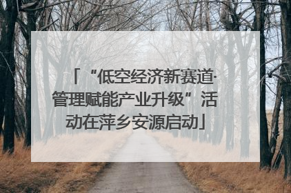 “低空经济新赛道·管理赋能产业升级”活动在萍乡安源启动