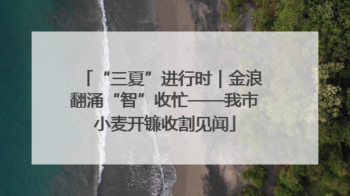 “三夏”进行时｜金浪翻涌“智”收忙——我市小麦开镰收割见闻