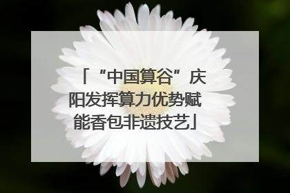 “中国算谷”庆阳发挥算力优势赋能香包非遗技艺