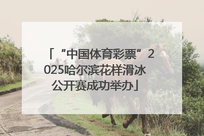 “中国体育彩票”2025哈尔滨花样滑冰公开赛成功举办