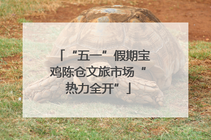“五一”假期宝鸡陈仓文旅市场“热力全开”