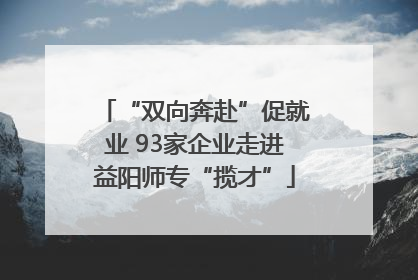 “双向奔赴”促就业 93家企业走进益阳师专“揽才”