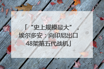 “史上规模最大”，埃尔多安：向印尼出口48架第五代战机