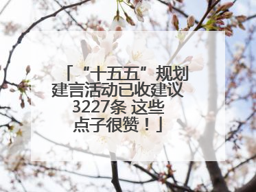 “十五五”规划建言活动已收建议3227条 这些点子很赞！