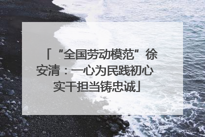 “全国劳动模范”徐安清：一心为民践初心 实干担当铸忠诚