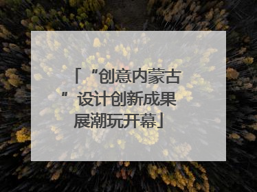 “创意内蒙古”设计创新成果展潮玩开幕