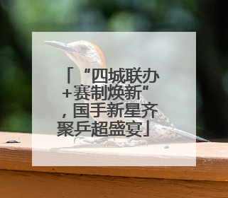 “四城联办+赛制焕新”，国手新星齐聚乒超盛宴