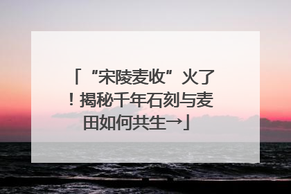 “宋陵麦收”火了！揭秘千年石刻与麦田如何共生→