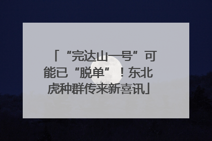 “完达山一号”可能已“脱单”！东北虎种群传来新喜讯