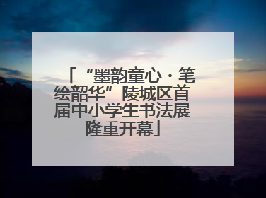 “墨韵童心・笔绘韶华”陵城区首届中小学生书法展隆重开幕