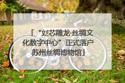 “彣芯雕龙·丝绸文化数字中心”正式落户苏州丝绸博物馆