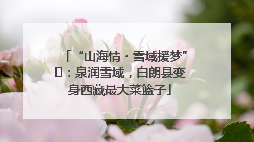 “山海情・雪域援梦”⑪：泉润雪域，白朗县变身西藏最大菜篮子