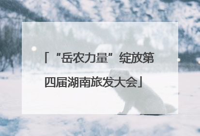 “岳农力量”绽放第四届湖南旅发大会
