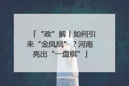 “政”解丨如何引来“金凤凰”？河南亮出“一盘棋”