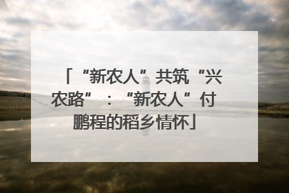 “新农人”共筑“兴农路”：“新农人”付鹏程的稻乡情怀