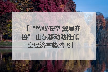 “智驭低空 翼展齐鲁” 山东移动助推低空经济蓄势腾飞