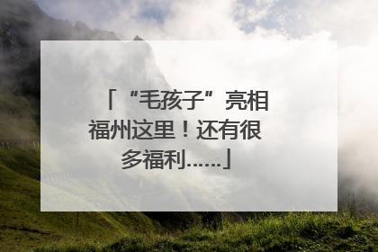 “毛孩子”亮相福州这里！还有很多福利……
