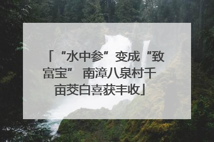 “水中参”变成“致富宝” 南漳八泉村千亩茭白喜获丰收