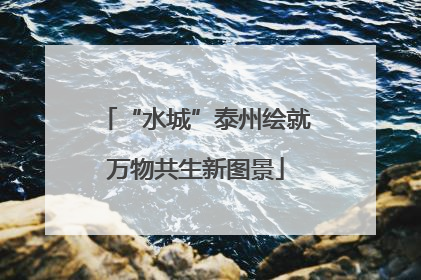 “水城”泰州绘就万物共生新图景