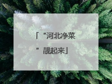 “河北净菜”靓起来