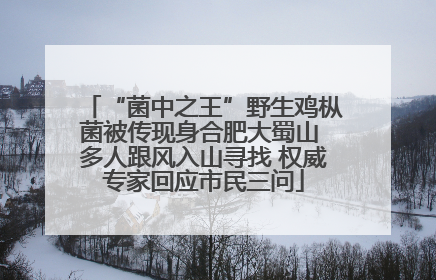 “菌中之王”野生鸡枞菌被传现身合肥大蜀山 多人跟风入山寻找 权威专家回应市民三问