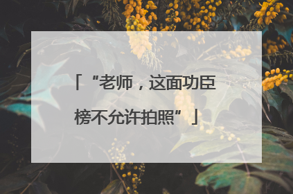 “老师，这面功臣榜不允许拍照”