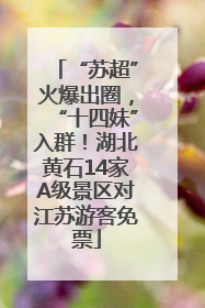 “苏超”火爆出圈，“十四妹”入群！湖北黄石14家A级景区对江苏游客免票