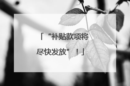 “补贴款项将尽快发放”！
