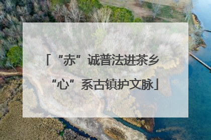 “赤”诚普法进茶乡 “心”系古镇护文脉