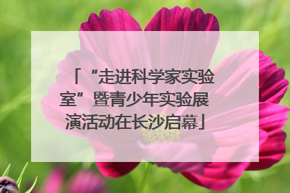 “走进科学家实验室”暨青少年实验展演活动在长沙启幕