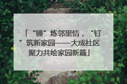 “锤”炼邻里情，“钉”筑新家园——大成社区聚力共绘家园新篇