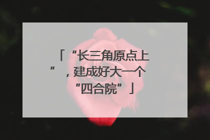 “长三角原点上”，建成好大一个“四合院”