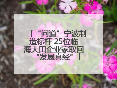 “问道”宁波制造标杆 25位临海大田企业家取回“发展真经”