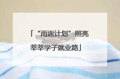 “雨露计划”照亮莘莘学子就业路