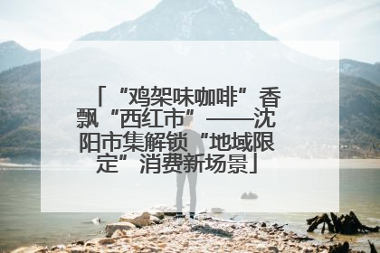 “鸡架味咖啡”香飘“西红市”——沈阳市集解锁“地域限定”消费新场景