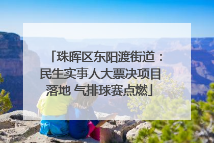 珠晖区东阳渡街道：民生实事人大票决项目落地 气排球赛点燃