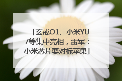 玄戒O1、小米YU7等集中亮相，雷军：小米芯片要对标苹果