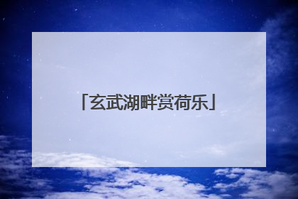 玄武湖畔赏荷乐