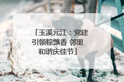 玉溪元江：党建引领粽飘香 邻里和谐庆佳节